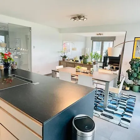 Apartment Luxurious 3 Bedrooms With Parking And Terrace-ber1